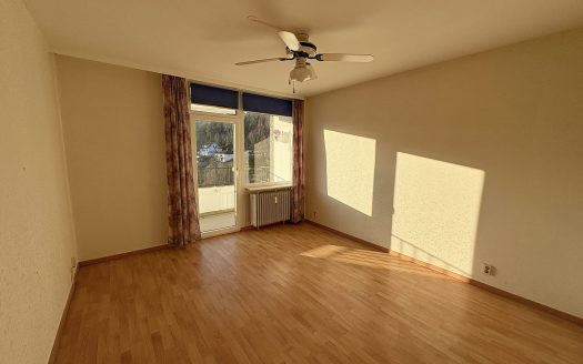 4-Zimmerwohnung mit herrlicher Dachterrasse und Balkon!