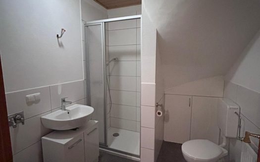 Attraktives Mehrfamilienhaus mit 8 Wohnungen + Werkstatt und Lagerhalle!